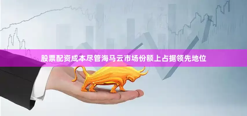 股票配资成本尽管海马云市场份额上占据领先地位