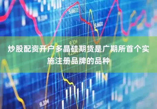 炒股配资开户多晶硅期货是广期所首个实施注册品牌的品种