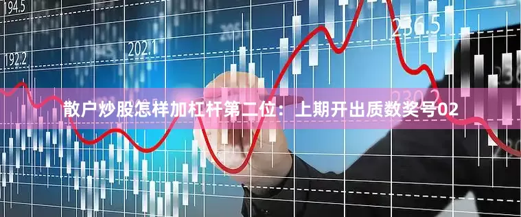 散户炒股怎样加杠杆　　第二位：上期开出质数奖号02
