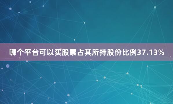 哪个平台可以买股票占其所持股份比例37.13%