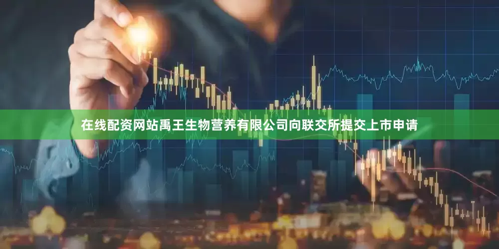在线配资网站禹王生物营养有限公司向联交所提交上市申请
