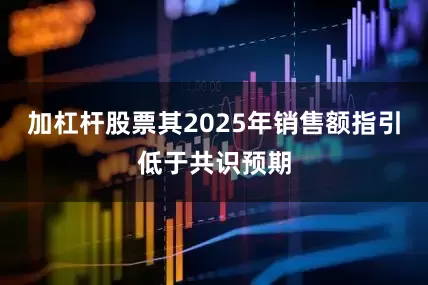 加杠杆股票其2025年销售额指引低于共识预期